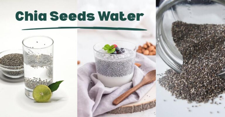 chia seeds water